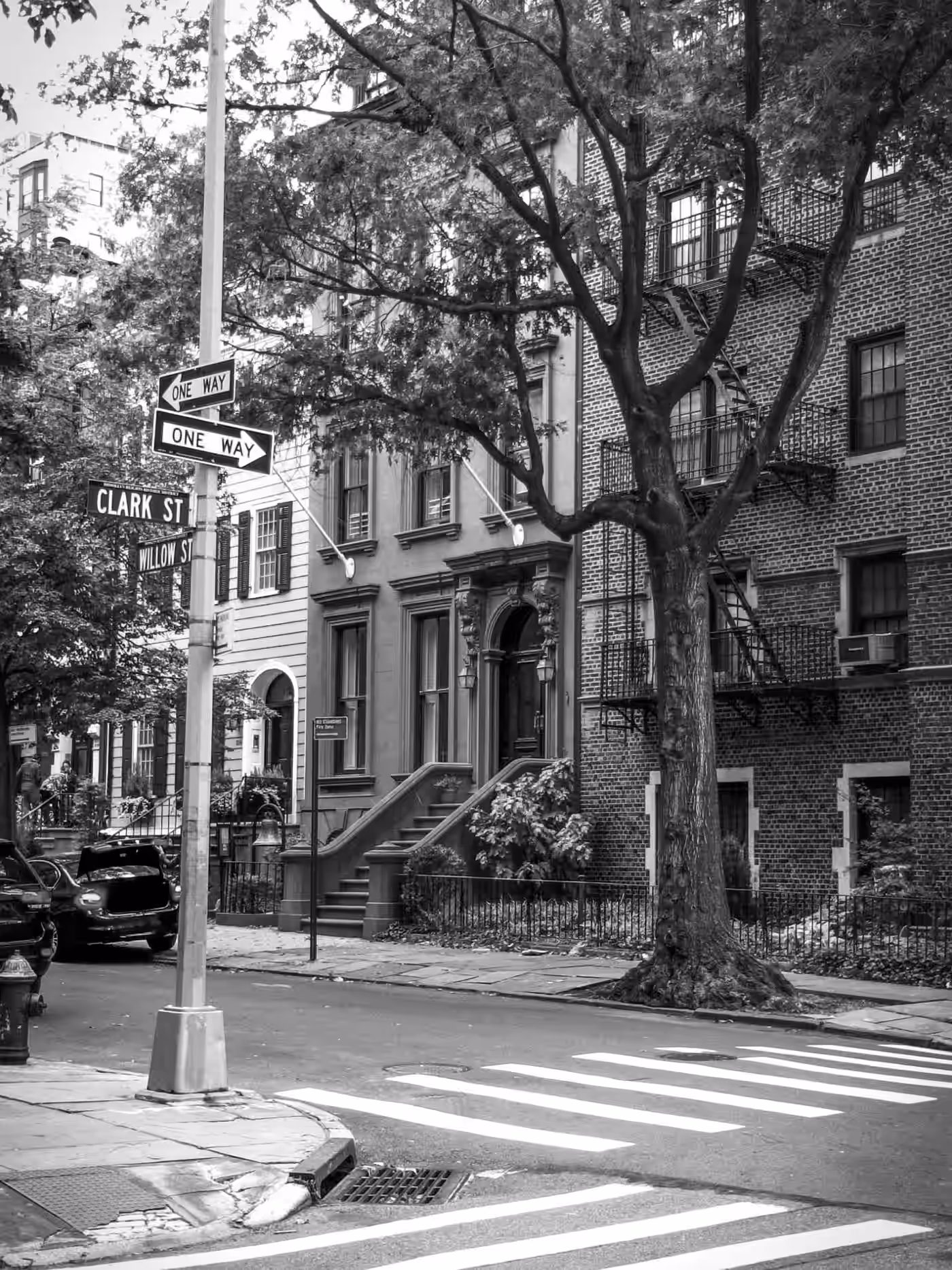 Tree-lined brownstone street in New York